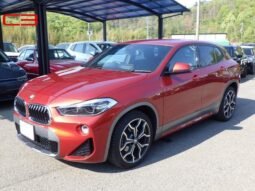 
										BMW X2 FOR SALE IN KENYA full									