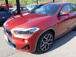 
										BMW X2 FOR SALE IN KENYA full									