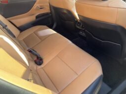 
										LEXUS ES FOR SALE IN KENYA full									