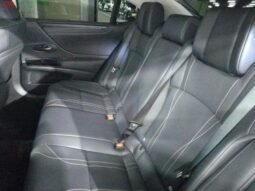 
										LEXUS ES FOR SALE IN KENYA full									