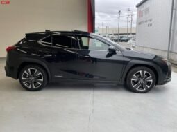 
										LEXUS UX FOR SALE IN KENYA full									