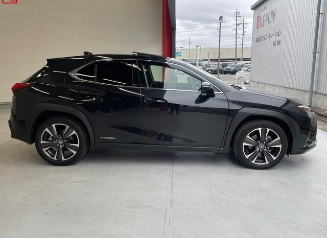 
								LEXUS UX FOR SALE IN KENYA full									