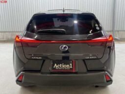 
										LEXUS UX FOR SALE IN KENYA full									
