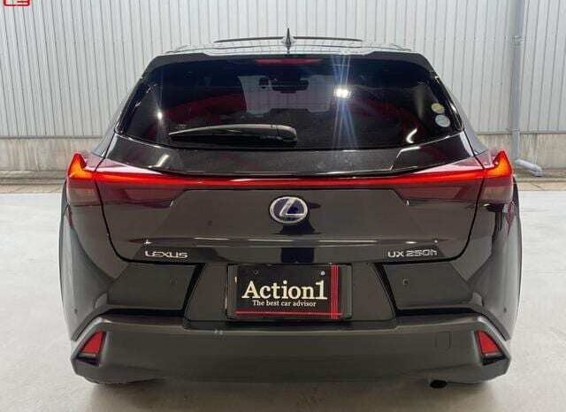 
								LEXUS UX FOR SALE IN KENYA full									