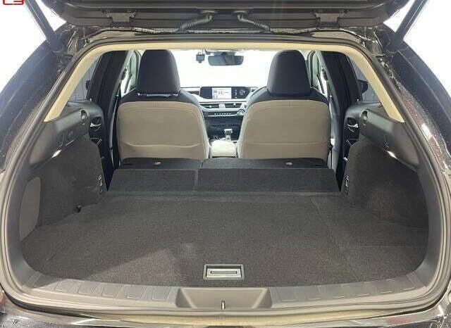 
								LEXUS UX FOR SALE IN KENYA full									