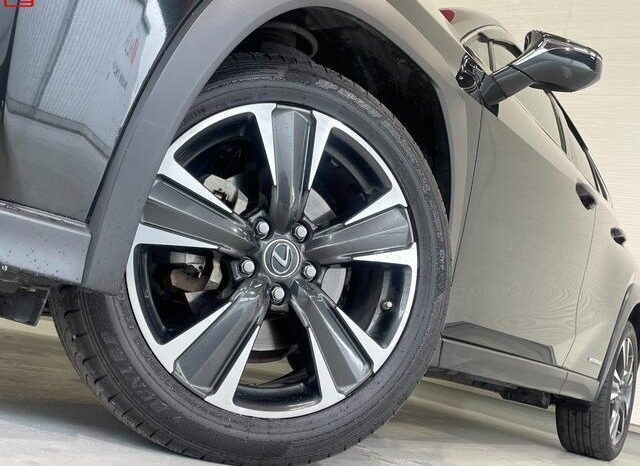 
								LEXUS UX FOR SALE IN KENYA full									