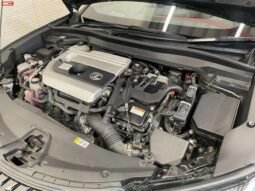 
										LEXUS UX FOR SALE IN KENYA full									
