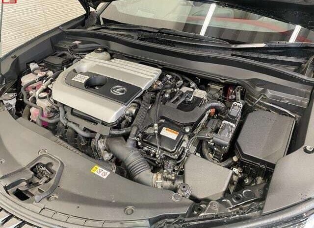 
								LEXUS UX FOR SALE IN KENYA full									