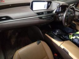
										LEXUS ES FOR SALE IN KENYA full									