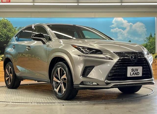 
								LEXUS NX FOR SALE IN KENYA full									