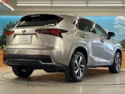 
										LEXUS NX FOR SALE IN KENYA full									