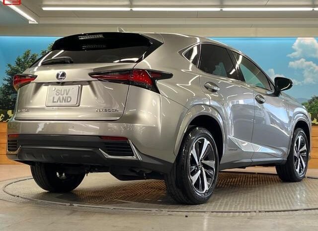 
								LEXUS NX FOR SALE IN KENYA full									