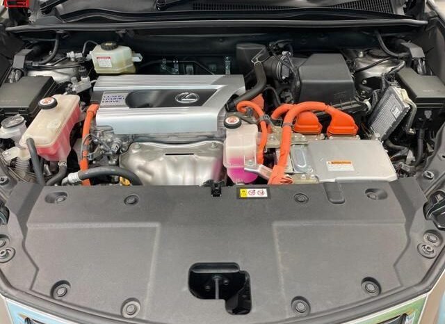 
								LEXUS NX FOR SALE IN KENYA full									