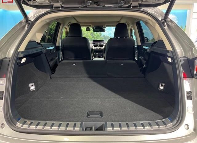 
								LEXUS NX FOR SALE IN KENYA full									