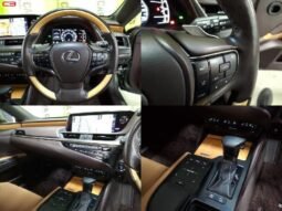 
										LEXUS LEXUS FOR SALE IN KENYA full									