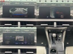 
										LEXUS NX FOR SALE IN KENYA full									
