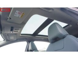
										NISSAN ARIYA FOR SALE IN KENYA full									