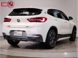 
										BMW X2 FOR SALE IN KENYA full									