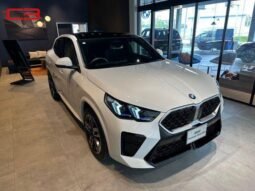 
										BMW X2 FOR SALE IN KENYA full									