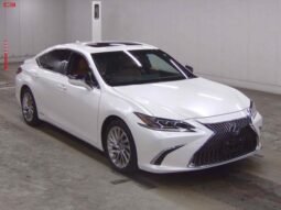 
										LEXUS ES FOR SALE IN KENYA full									