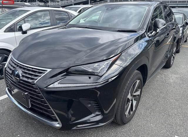 
								LEXUS NX FOR SALE IN KENYA full									