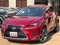 
										LEXUS NX FOR SALE IN KENYA full									