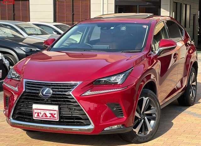 
								LEXUS NX FOR SALE IN KENYA full									