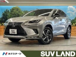 
										LEXUS NX FOR SALE IN KENYA full									