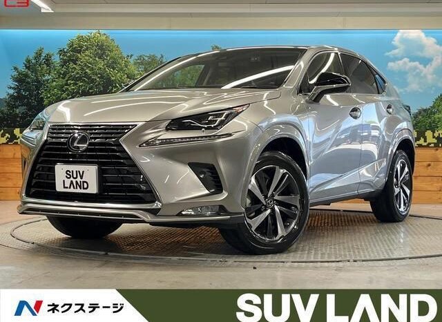 
								LEXUS NX FOR SALE IN KENYA full									