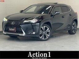 
										LEXUS UX FOR SALE IN KENYA full									
