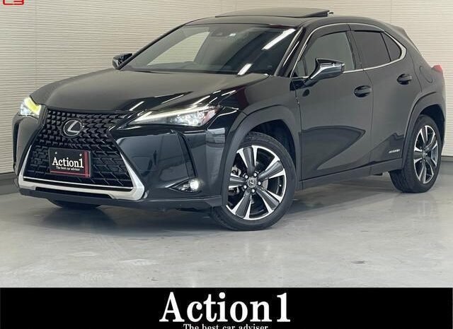
								LEXUS UX FOR SALE IN KENYA full									