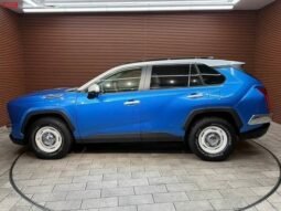 
										MITSUOKA BUDDY FOR SALE IN KENYA full									