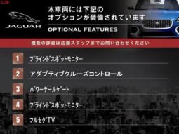 
										JAGUAR E PACE FOR SALE IN KENYA full									