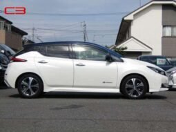 
										NISSAN LEAF FOR SALE IN KENYA full									