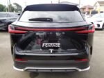 2025 LEXUS NX FOR SALE FROM JAPAN - Image 5