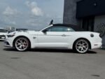 2021 FORD MUSTANG FOR SALE FROM JAPAN - Image 12