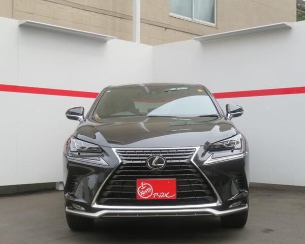 2021 LEXUS NX FOR SALE FROM JAPAN