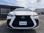 2023 LEXUS NX FOR SALE FROM JAPAN