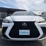 2023 LEXUS NX FOR SALE FROM JAPAN