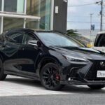2025 LEXUS NX FOR SALE FROM JAPAN