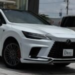 2024 LEXUS RX FOR SALE FROM JAPAN