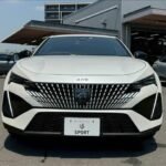 2023 PEUGEOT FOR SALE FROM JAPAN