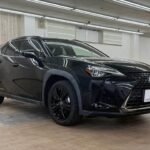 2020 LEXUS UX FOR SALE FROM JAPAN