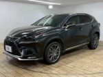 2020 LEXUS NX FOR SALE FROM JAPAN - Image 6