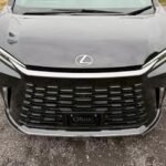 2024 LEXUS FOR SALE FROM JAPAN