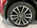 2025 CADILLAC FOR SALE FROM JAPAN - Image 4