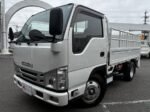 2023 ISUZU ELF TRUCK FOR SALE FROM JAPAN