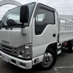2023 ISUZU ELF TRUCK FOR SALE FROM JAPAN
