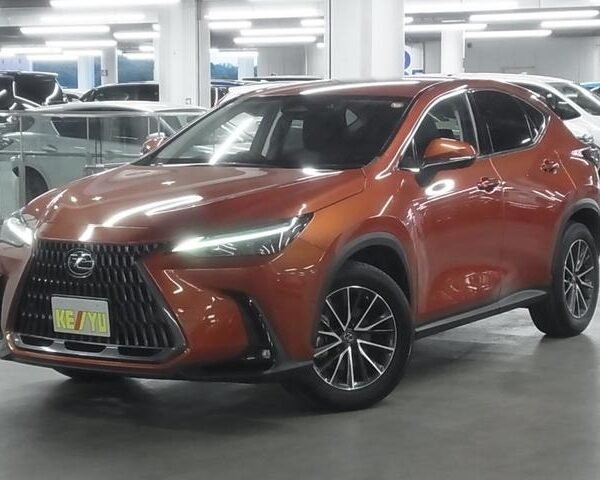2021 LEXUS NX FOR SALE FROM JAPAN