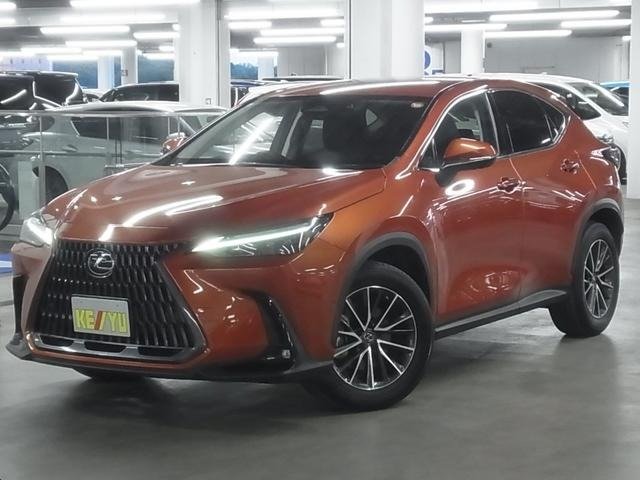imgi_2_2338979_image01 2021 LEXUS NX FOR SALE FROM JAPAN - Image 1